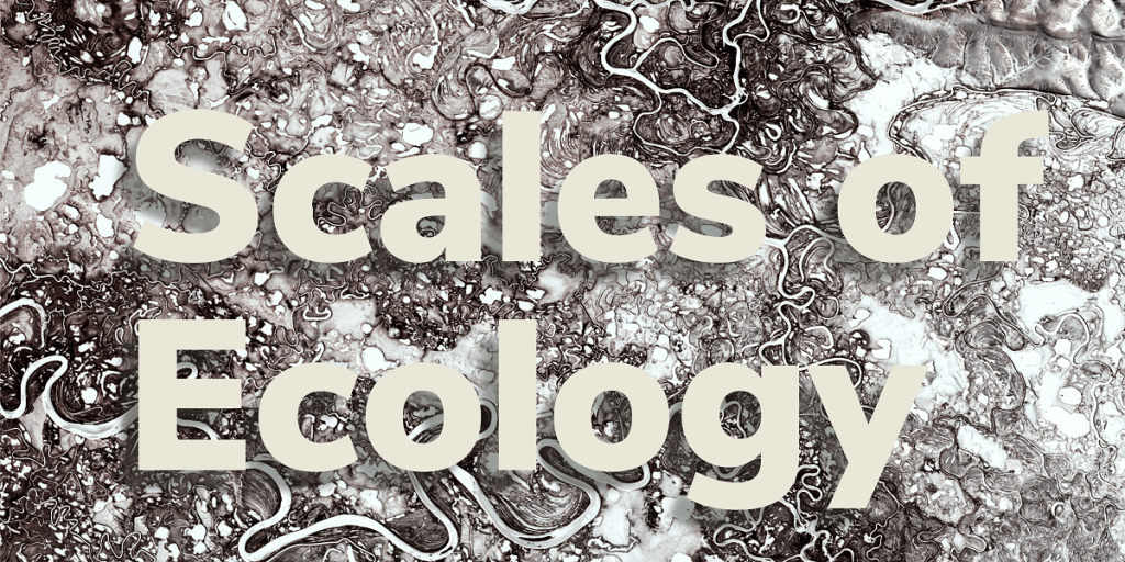 3rd Annual Conference: Scales of&nbsp;Ecology